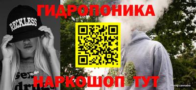 прущие крисы Краснознаменск